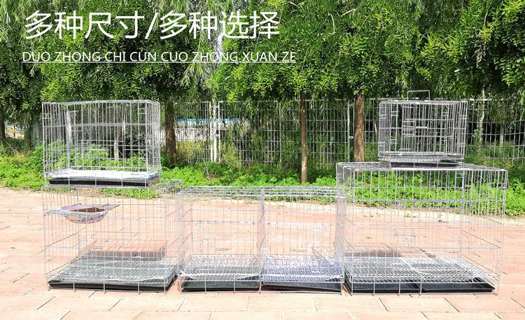 Tourterelle Cage perles cou tourterelle Cage cochon sauvage Cage traditionnelle bambou poulailler médias captivité Cage y compris Acces