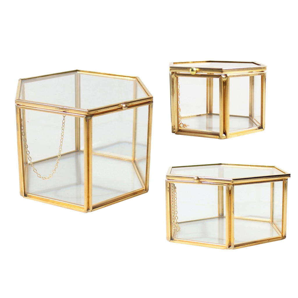 Modern Hexagon Clear Glass Brass Geometric Terrarium Fern Moss Air Plant Display Case Art Home Garden Decor Party Favors