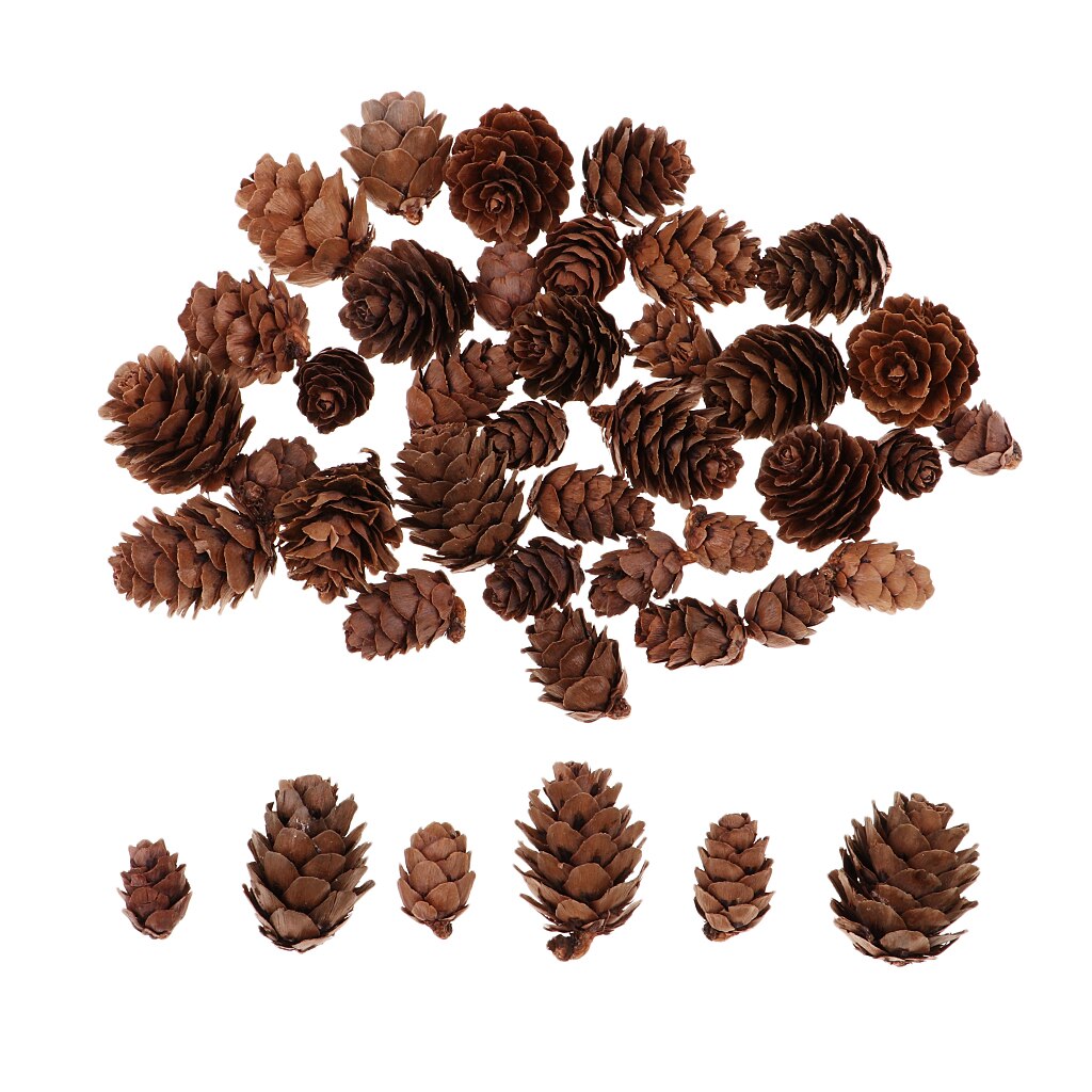 50 Pcs Decoratieve Dennenappels Ongeparfumeerde Voor Fall Winter Thuis