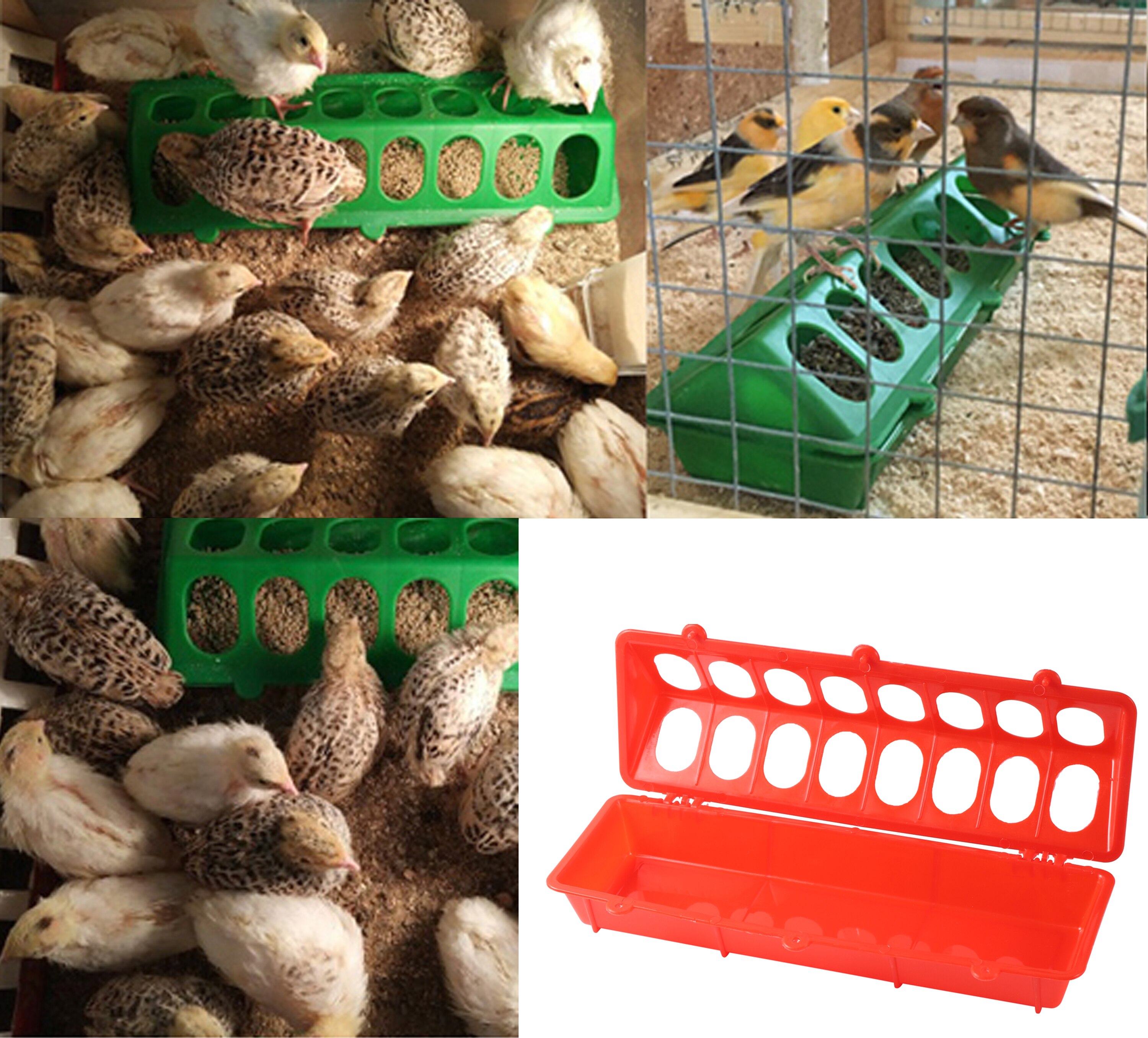 Plastic Flip-Top Poultry Ground Feeder Chicken Feeder Trough Chicken Farming Tool Chicken Pigeons Drink Water Dishes Dispenser