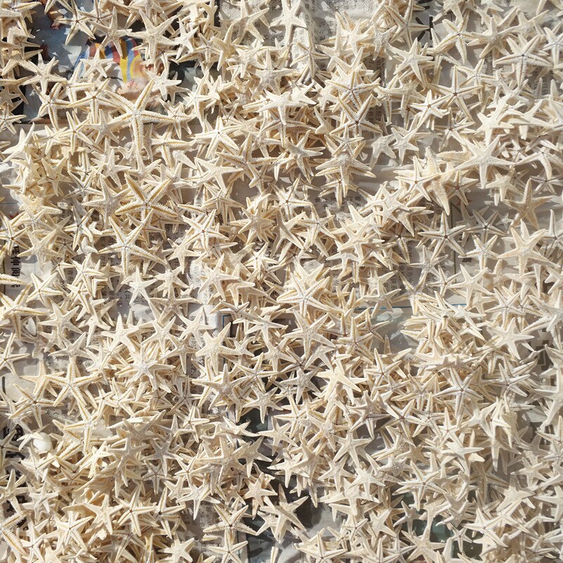 Mini estrella de mar blanca de 100-3cm, artesanía Natural de estrellas de mar, artesanal, artesanal, playa, cabaña, decoración de boda, novedad, 1,8 Uds.