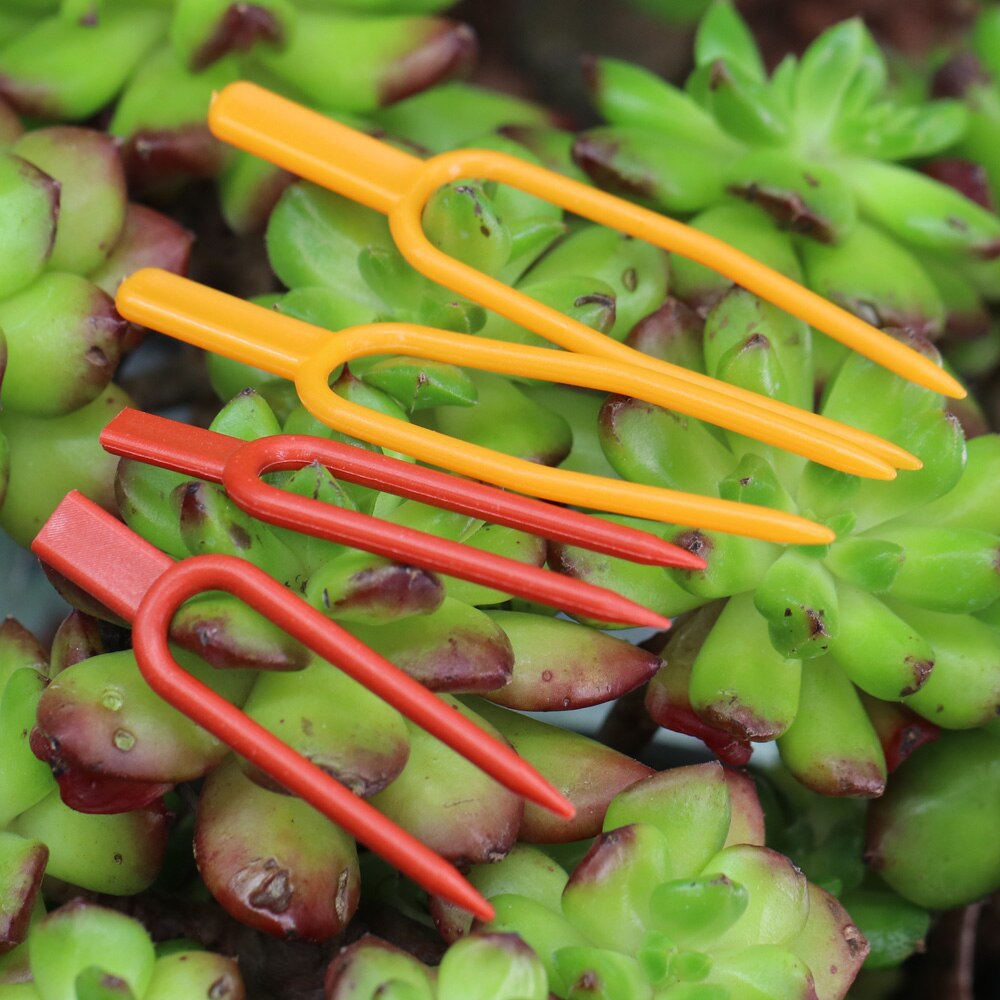 50PCS Plant Stem Stolon Fixator 55MM 65MM Garden Strawberry Planting Fork Watermelon Fastening Fixture Clamp Clip Plant Support