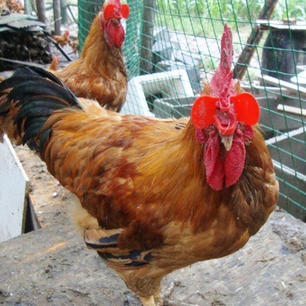 12pcs Red Yellow Pinless No Pin Bolt Chicken Peepers Eye Glasses Pheasant Poultry Blinders Spectacle Anti-pecking