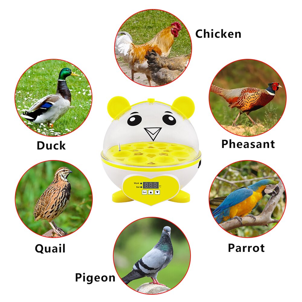 Cute Mini 9 Eggs Incubator Sets Incubation Brooder Egg Tester Chicken Duck Quail Birds Animal Egg Incubator Feeders