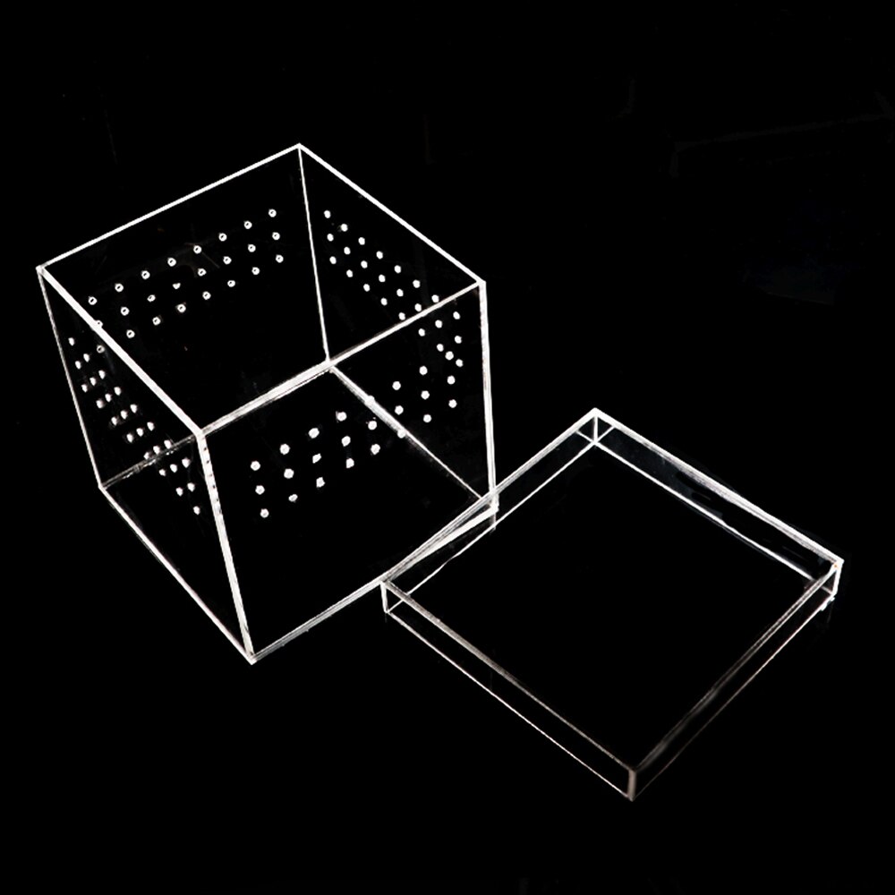 Reptiles en plastique vivant boîte Transparent Reptile Terrarium Habitat pour Scorpion araignée fourmis lézard élevage boîtier d'alimentation