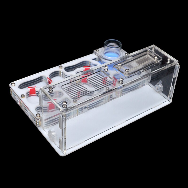 Diy akrylmyrbo stort stor myrgård med utfodringsområde stort myrahus för myrstack med verkstadslott 15*20*7.5cm