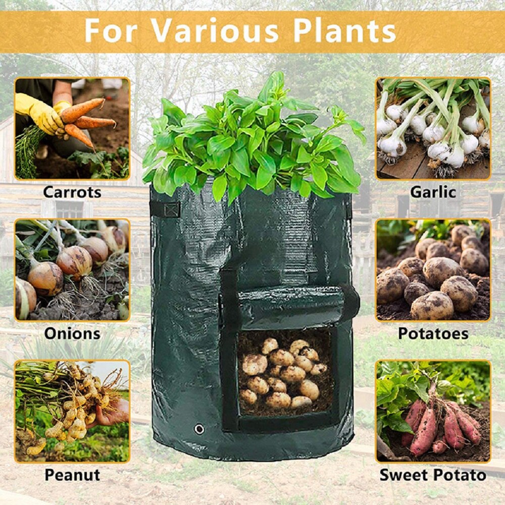 Potato Cultivation greenhouse Vegetable Planting Bag Plant Growth Bag home garden Moisturizing Vertical Garden Grow Bag seedling