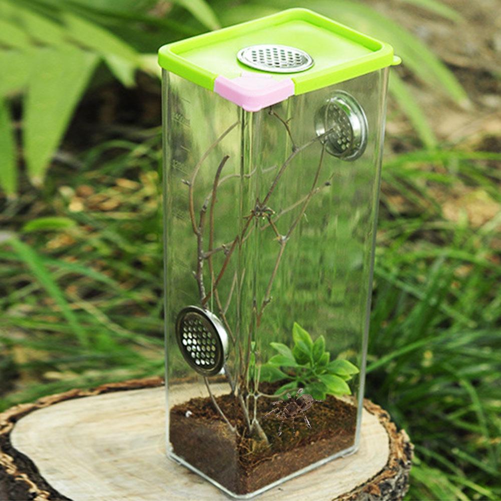 Petit bac d'élevage pour animaux de compagnie araignée lézard caméléon bac d'élevage Transparent acrylique Reptile bac d'élevage Reptile
