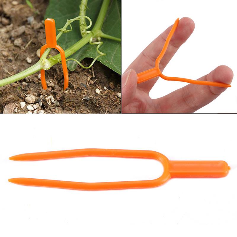 Tuin gereedschap 100pc Plastic Plant Clips Uitlopers bevestiging bevestiging Armatuur klem aardbei vork Landbouw Clip