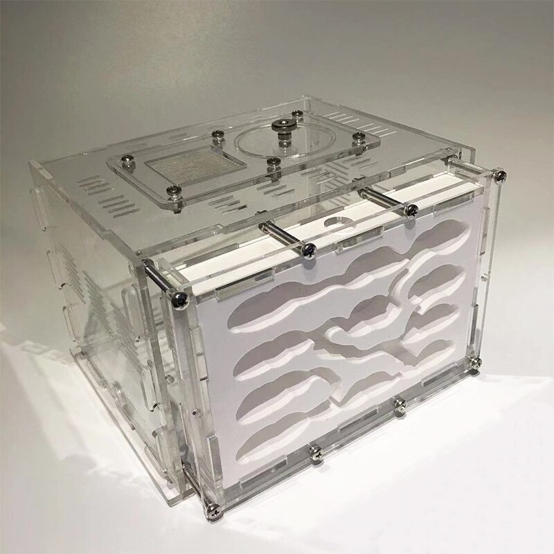 DIY Gypsum Ant Farm Plaster Ant Nest with Feeding Area Moisturize Ecological Ant House Workshop for Pet Anthill