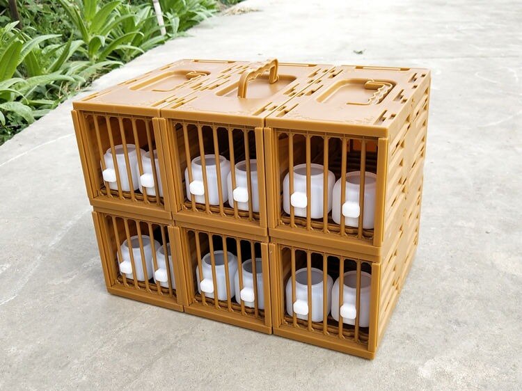 Cage à oiseaux en plastique Portable expédition express perroquet perruche Cage à oiseaux maison d&#39;oiseau animalerie affichage stockage oiseaux Cage fournitures pour oiseaux