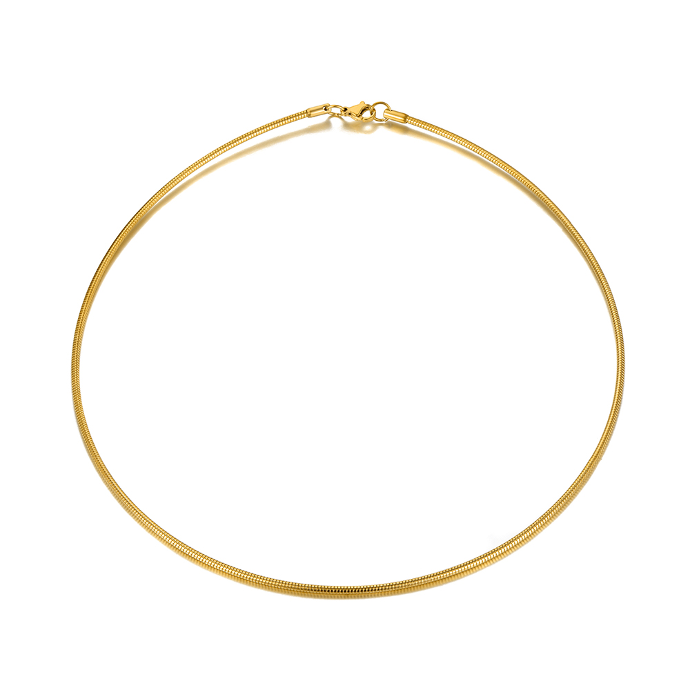 Jeemango simple bohemian rose gold pendant torques for women girls trendy titanium stainless steel office necklace  jn20177: Gold color