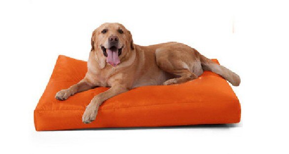 Lit pour chien en mousse à mémoire de forme, Orange, imperméable, fabricant et leader en chine
