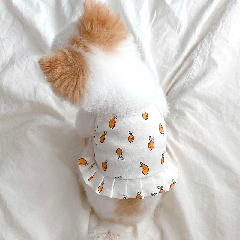 Summer Dog Clothes 2 Styles Orange Print Pet Dog Dresses Vests for Small Dogs Chihuahua Puppy Clothes Life Vest Suit for Cat: Dress / M