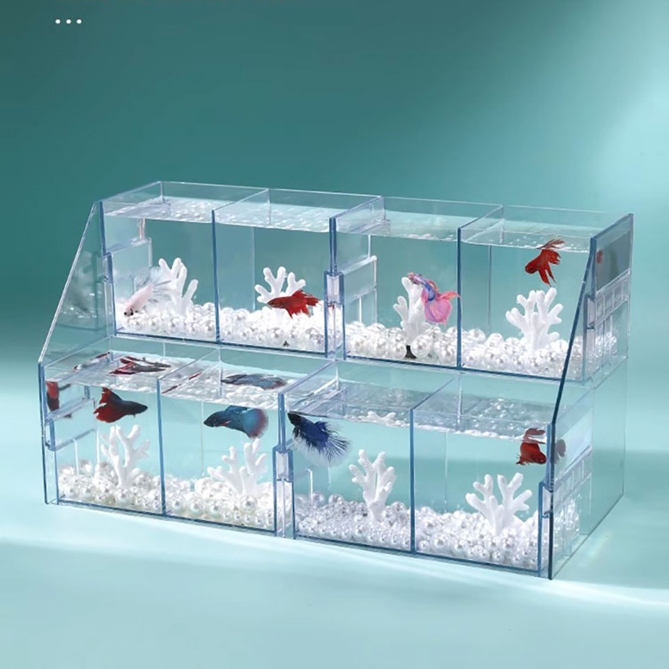 Acrylic Ornamental Fighting Fish Tank Small Row Tank Transparent Desktop Aquarium Multi-compartment DIY Aquariums