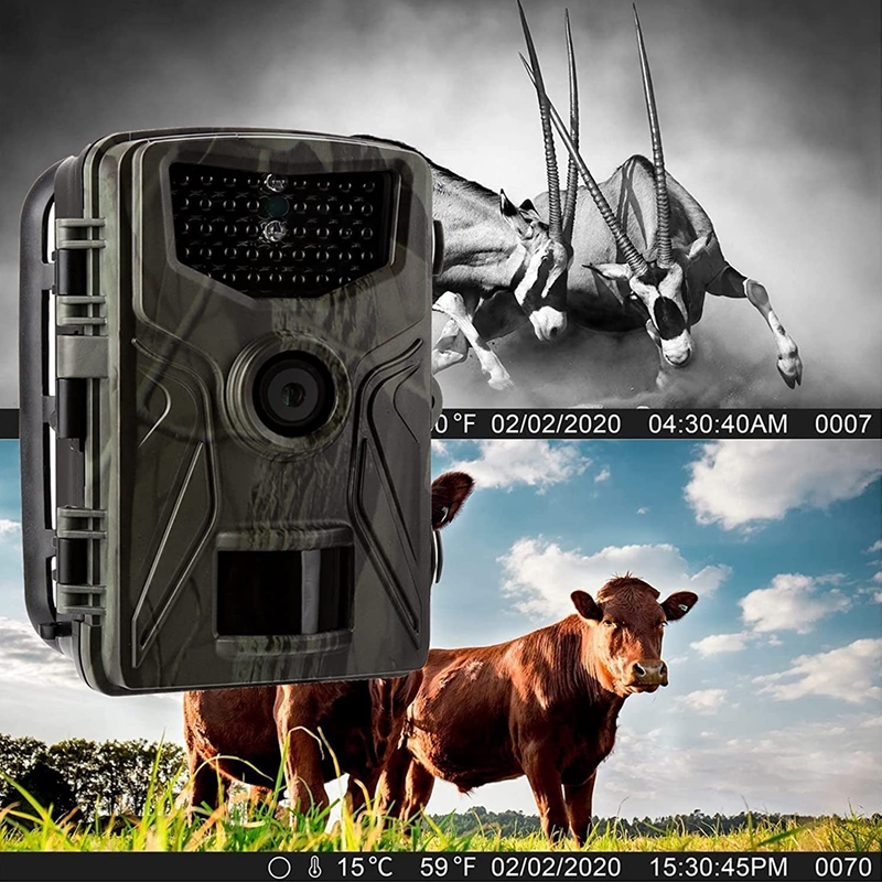 Wildlife Camera 20MP 1080P Trail Camera Wildlife Tracking HC804A Night Vision Wild Cameras Photo Traps Outdoor Infrared Camera