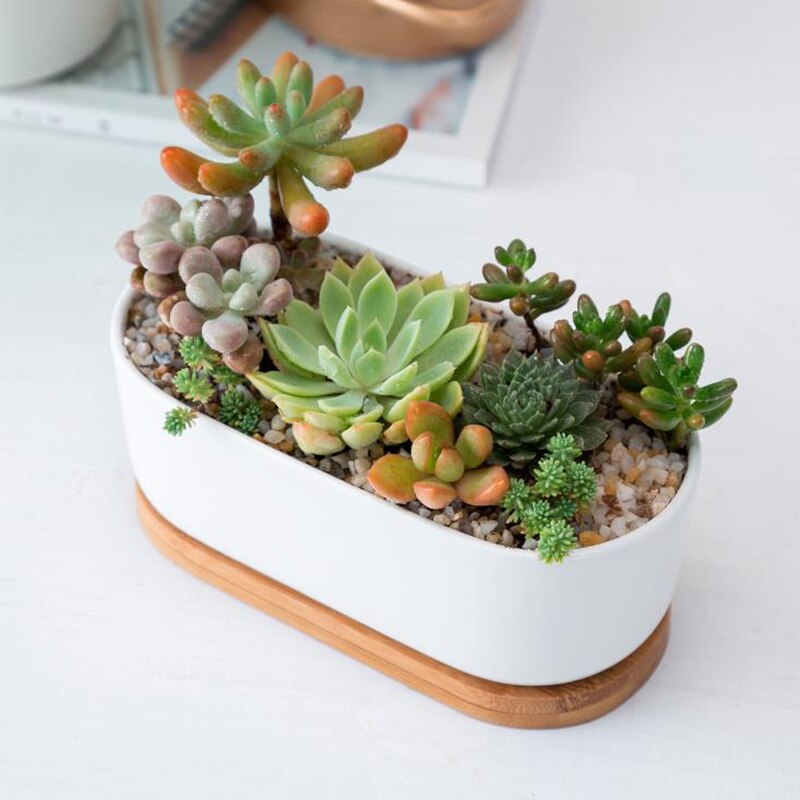 Decoratie knutselen bamboe ronde borden bureaublad bonsai potten potten trays basis bloempotten bamboe standaard