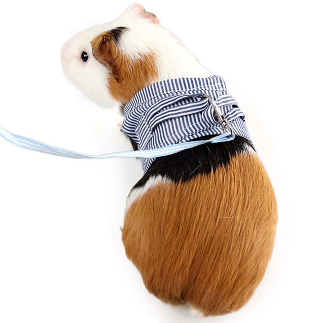 Hamster Leine nutzbar machen Kleine Ebene nutzbar machen Für Guinea Schweine Eichhörnchen Einstellbare gestreift Baumwolle Haustier Kleidung Hamster Zubehör
