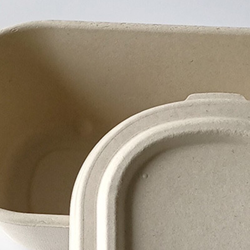 10pcs Disposable Lunch Box Eco-Friendly Lunch Box Food Container Vegetable Salad Takeaway Packing Box Microwave Lunch Boxes