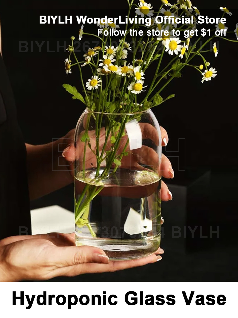 Vase à fleurs en verre pour plantes hydroponiques créatives, bouteille moderne et Simple, pour centres de table, bureau, maison, salle à manger, mariage, mariage moderne