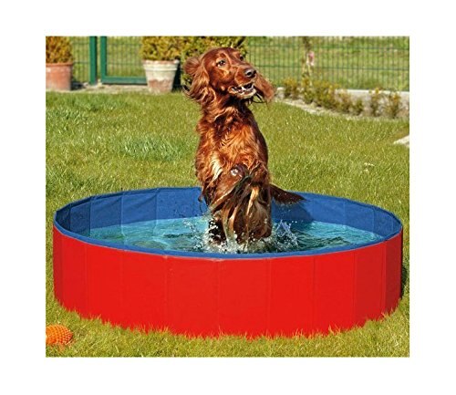 Foldable Dog Pool - Folding Dog/Cat Bath Tub - Collapsible Pet Spa Whelping Box