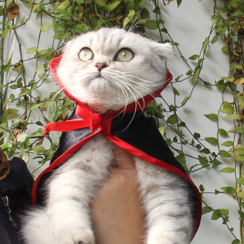 1Pc Pet Halloween Kostuums Cloack Sjaal Warm Leuke Cosplay Vampier Mantel Hoed Kawaii Cape Kleding Huisdier Hond Kat Parrot accessoires