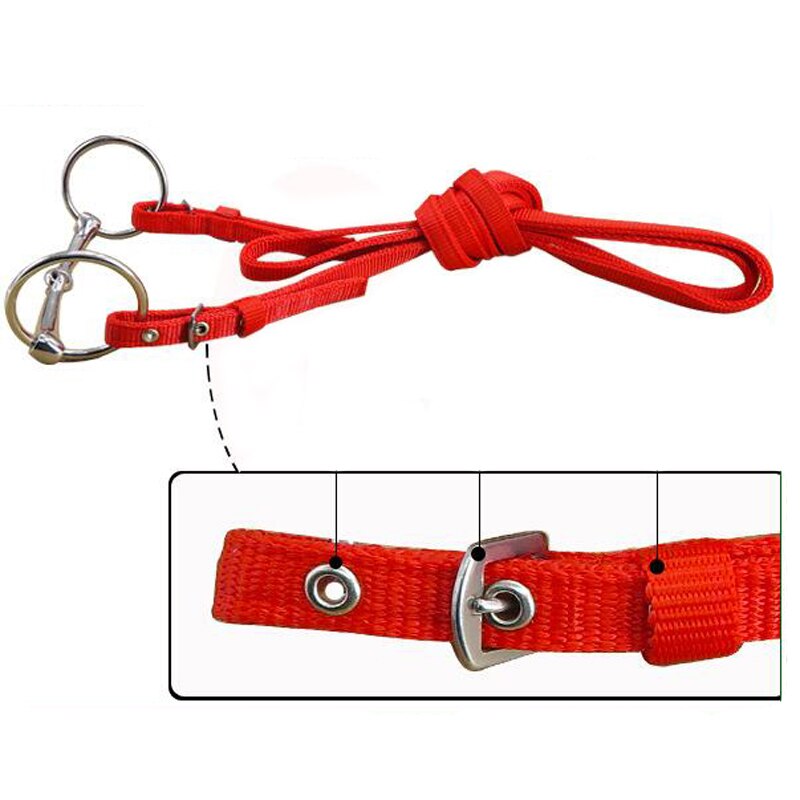 Equipo de equitación ajustable brida de caballo Halter con Bit y cinturón de Rein para accesorios ecuestres de caballos espesar suave, L S