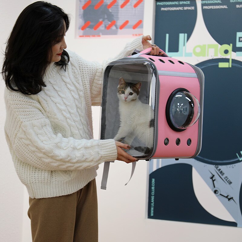 Moorpet – sac à dos pour chat à sortir, sac Portable pour chat, sac pour chien, grande capacité, deux boîtes pour chat, Capsule d'espace, bonne , plusieurs couleurs
