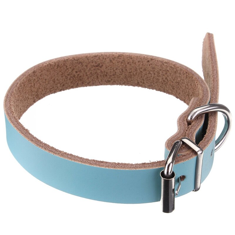 Lederen Halsband Voor Hond Kat Pet Puppy Blauw-Xs