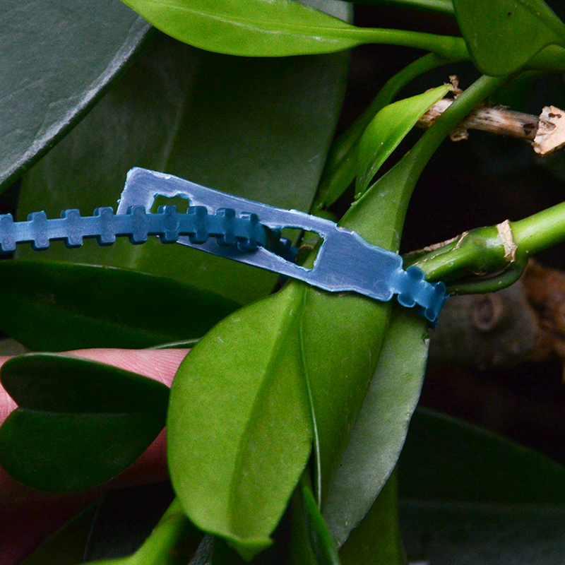 50pcs Adjustable Plastic Plant Cable Ties Reusable Cable Ties for Garden Tree Climbing Support 13.5cm