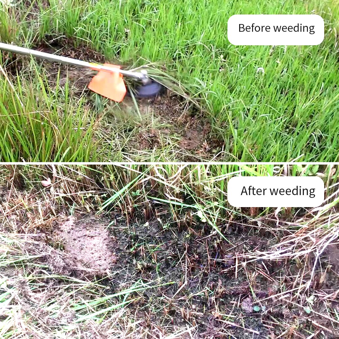 6/8 Tray Wire Weeder Inch Lawn Mower Wire Wheel Brush Alloy WeedingLawn Mower Parts Agricultural Machinery Accessories Weeding