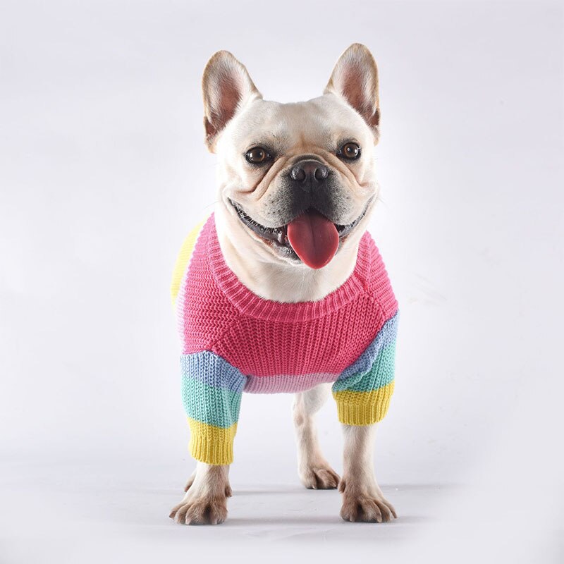 Varmt hundetøj vinter regnbue kæledyr hund sweater fede hunde frakke fransk bulldog kæledyr tøj til små mellemstore hunde hvalpe kostume mops