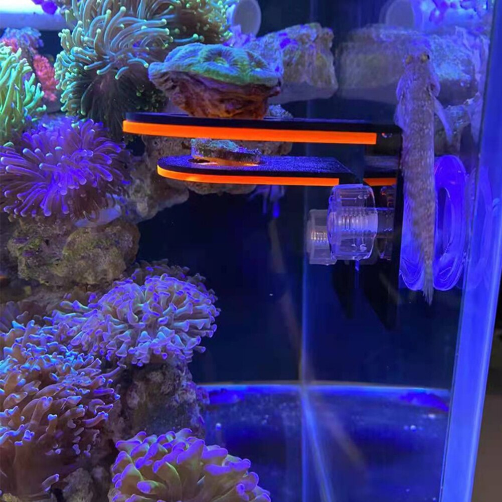 Fish Tank Fluorescent Coral Frag Rack Acrylic Aquarium Reef with Plugs Holder Suction Cup Mount Water Plant Stand Accessories