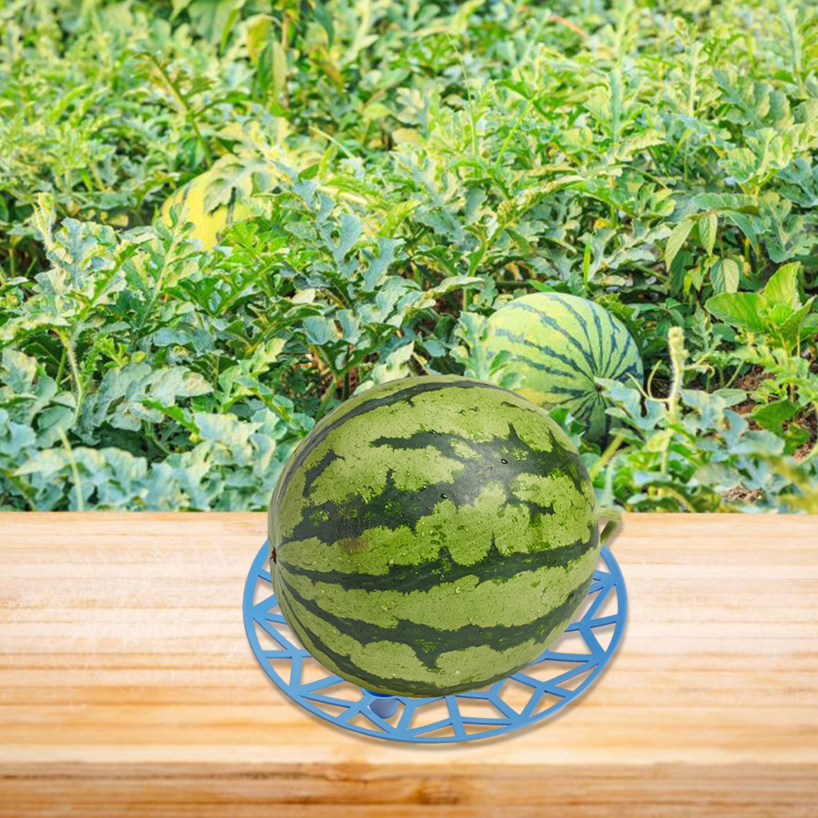 Bandeja de cultivo de fruta y melón, bandeja estable de plástico anticorrosiva para jardín, Base de soporte reciclable para fruta