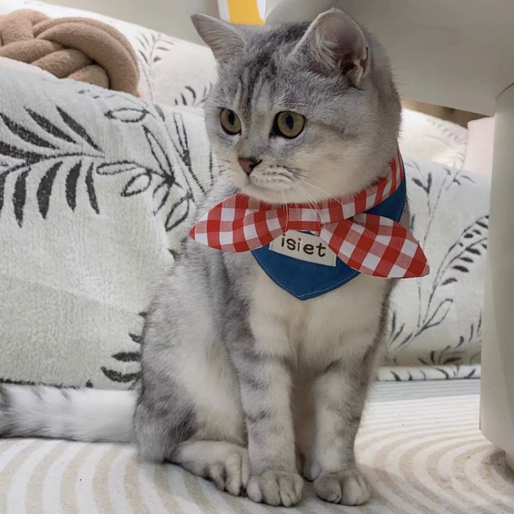 Denim dreieckigen Bindemittel Hunde kleidung verrotten karierten Bogen kleine Hunde Kleidung Katze retro Halsband Yorkshire Haustier Artikel Zubehör