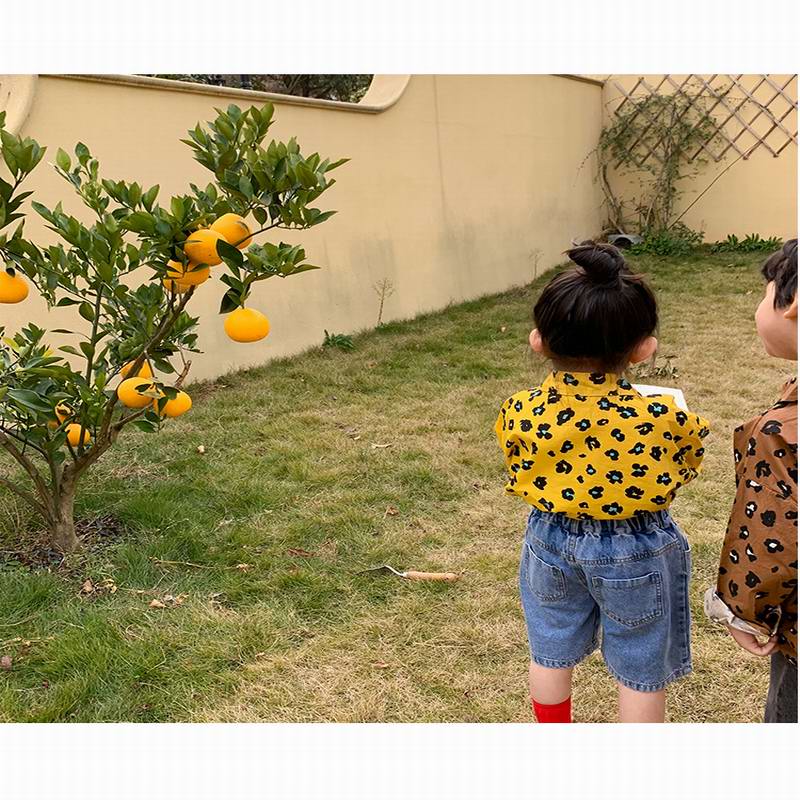 Jean taille élastique en Denim pour enfants de 2 à 8 ans, pantalon de loisirs, court,