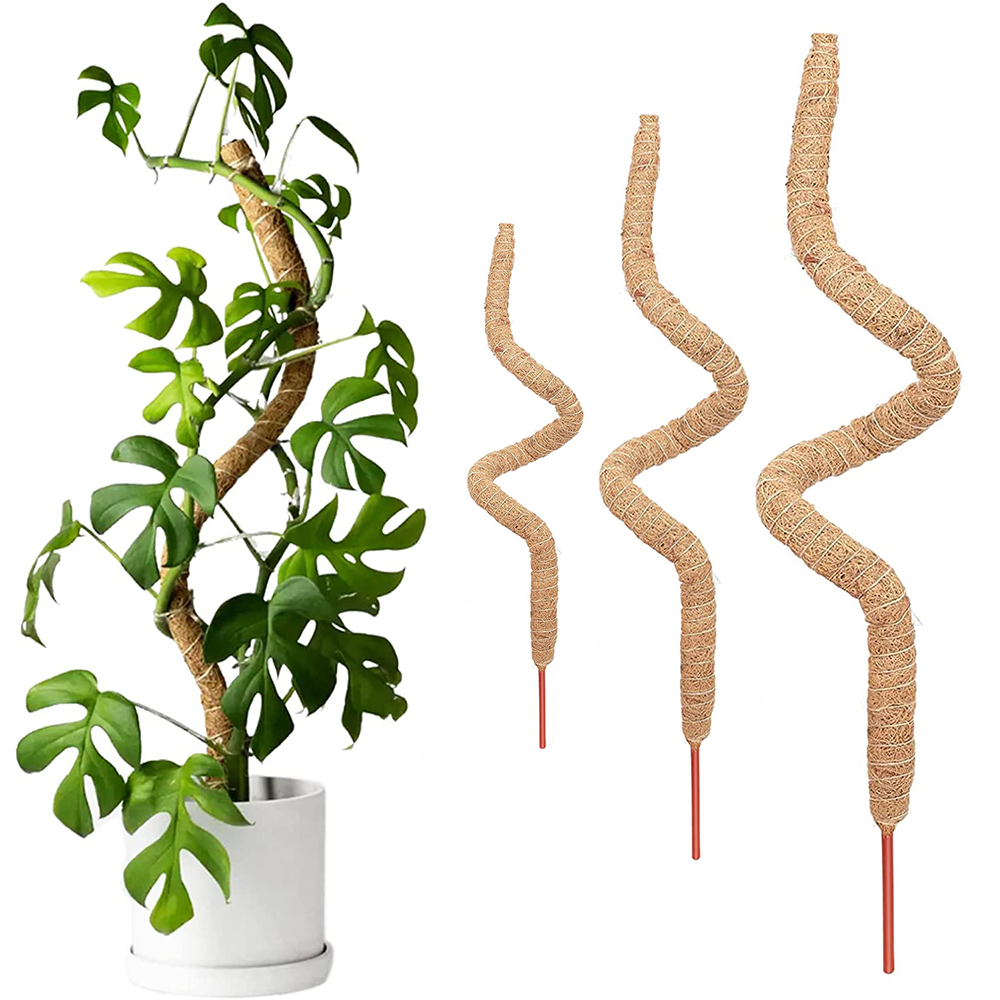 Postes de plantas flexibles DIY para plantas, palos Monstera, soporte para entrenar en interiores, para crecer hacia arriba, estacas hechas a mano para escalar