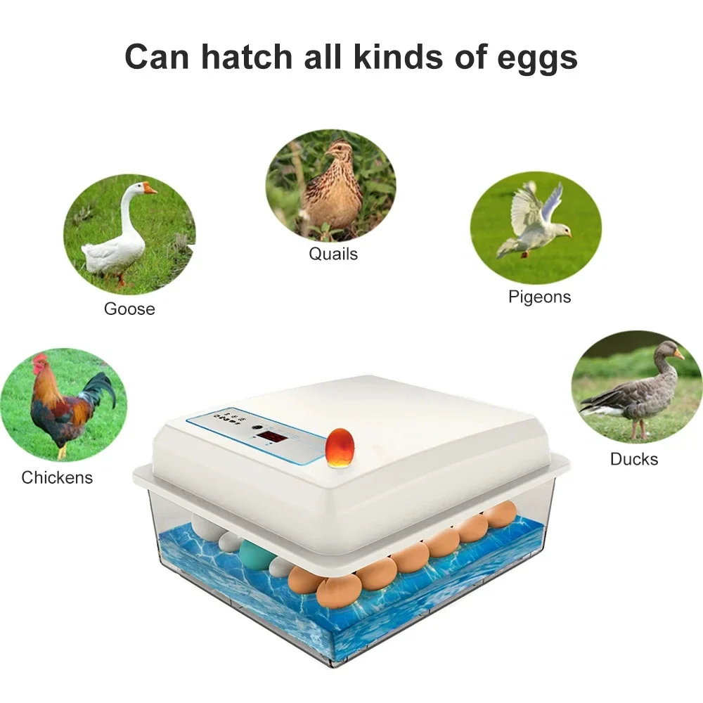 20 Eier Inkubator Set voll automatische Haushalts brut Farm Huhn Gans Ente Vogel Ei Inkubator