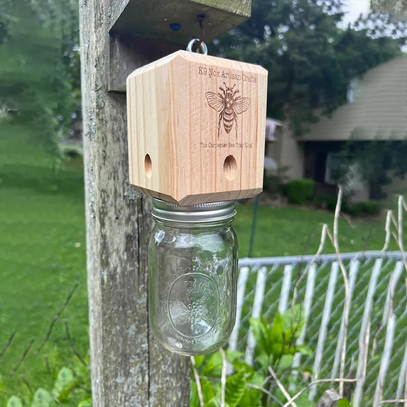 Piège à abeilles de charpentier pour l'extérieur, 1 pièce, piège à abeilles de charpentier suspendu naturel de Style Pentroof, pièges à insectes avec coffre-fort amovible: Default Title