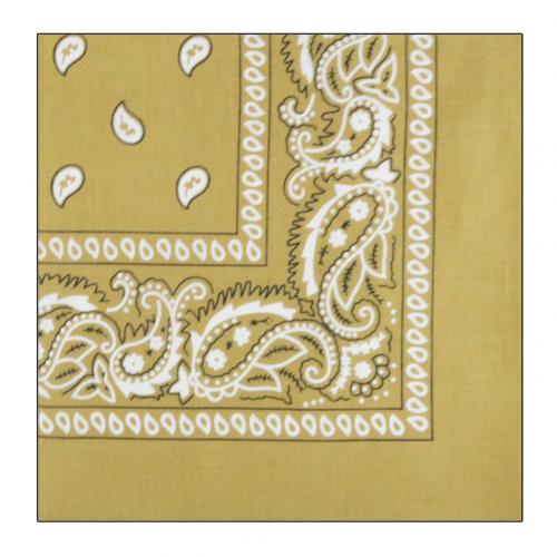 Hip hop bandana mand kvinder udendørs pandebånd hårbånd håndled wraps hår tørklæder paisley tørklæde hår tilbehør: Let kaffe