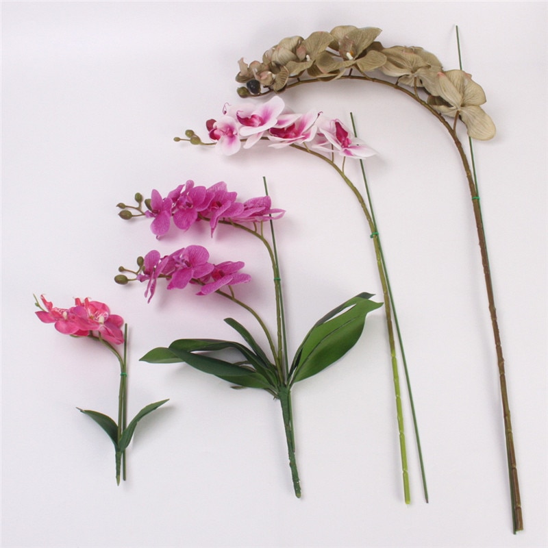 Phalaenopsis plants dedicated styling fixture gardening potted orchid plants flowers supporting wire flower rod stem 2pcs/lot