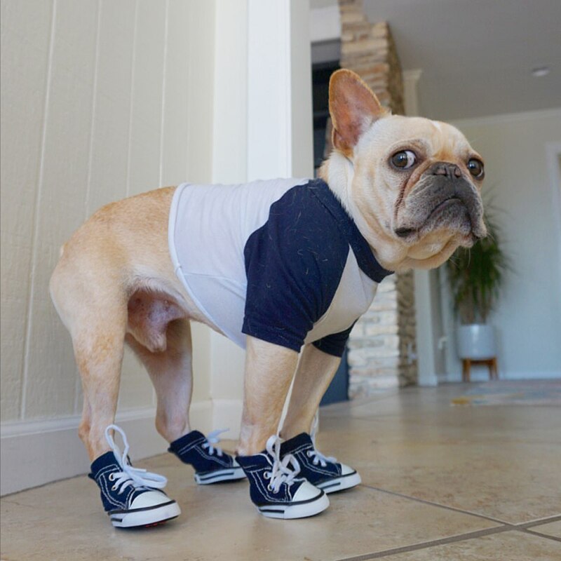 Zapatos para perros de tela vaquera azul, zapatos clásicos para perros pequeños y medianos, calzado deportivo para exteriores antideslizante, botas para perros, Bulldog Francés, Pug