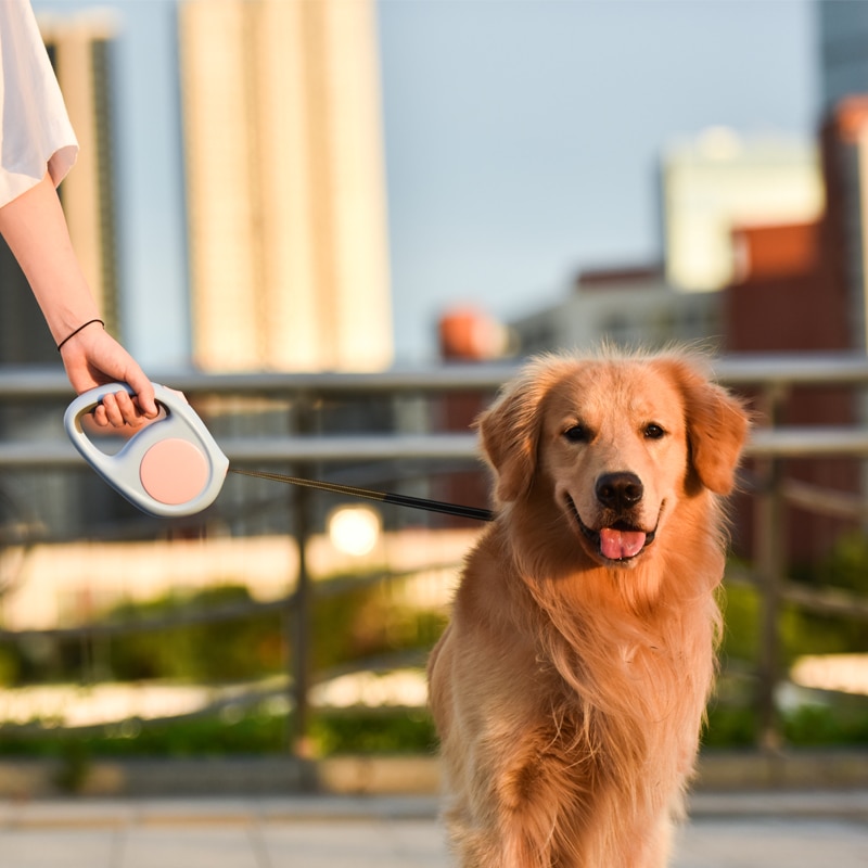 Suprepet pet hondenriem, automatisch intrekbaar voor grote en middelgrote honden, reflecterend touw, puppyriem, hondenaccessoires voor grote honden.