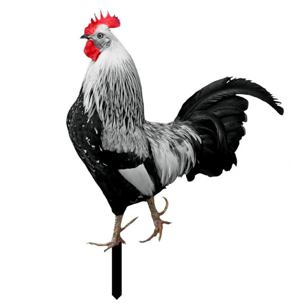 Ornamental Eco-friendly Rooster Decor Garden Statue Chicken for Garden: black