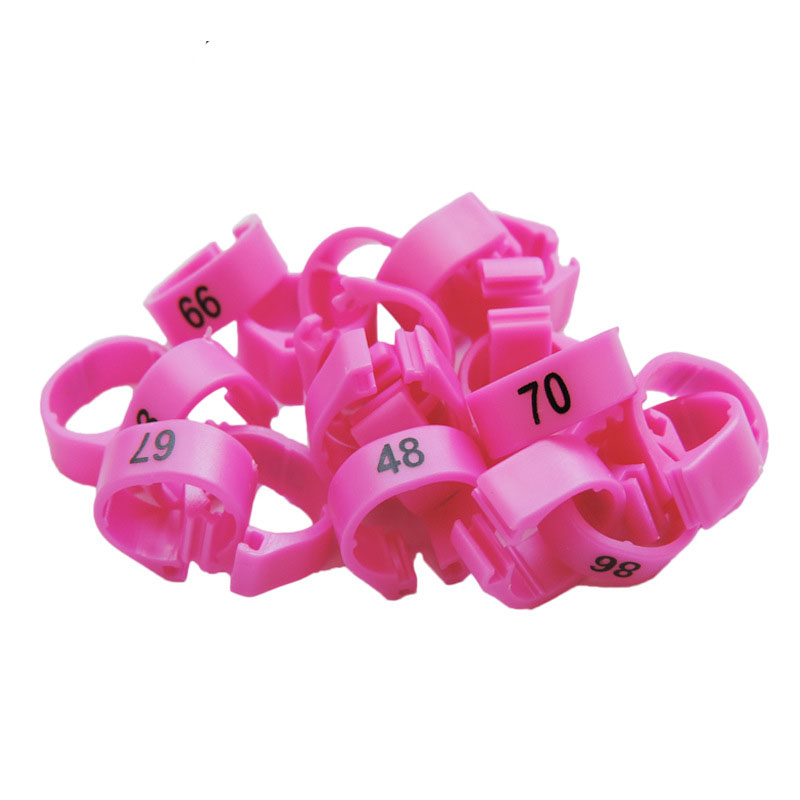 Inner Diameter 8mm Pigeon Leg Bands Poultry Dove Bird Parrot Clip Rings Band Foot Ring Pigeon Supplies Bird Appliances 100 Pcs: Pink