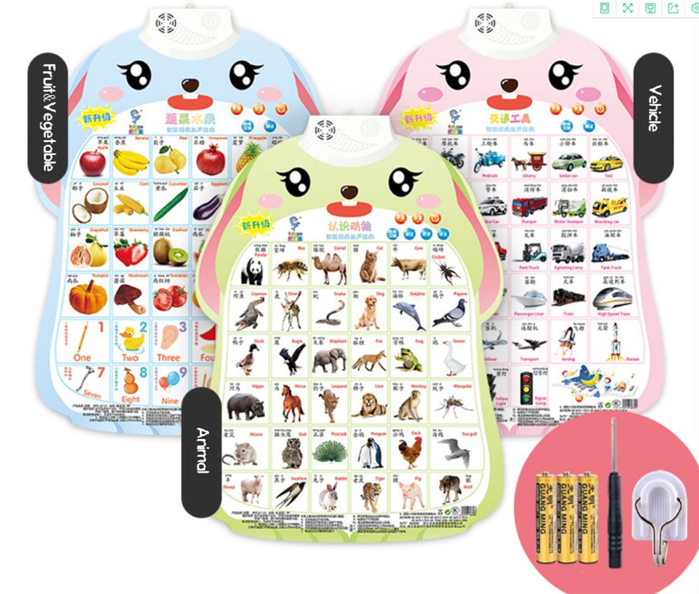 Electronic Interactive Wall Chart Talking English Chinese Vocabulary &Bilingual Talking Poster: Animal + Fruits&Vegetable + Vehi: Default Title