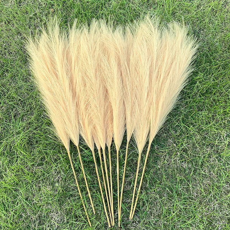 5pcs 70cm Artificial Plant Pampas Grass Polyester Silk Flowers Grass for Home Decor Wedding Decoration Table Centerpieces Plants: B03