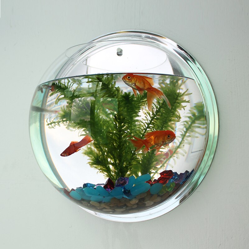 Wall Hanging Acrylic Fish Tanks with Accessories Wall Mount Aquarium Water Tank Flower Pot Plant Vase Mini Aquarium Betta Fish: 28x28cm