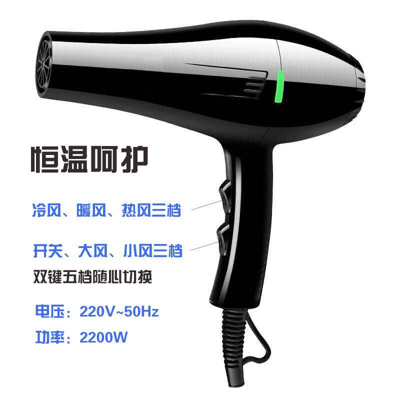 Pet Blowing Machine High Power Pet Dedicated Hair Dryer Silent Cat Dog Blowing Dry Teddy Golden Retriever: style 5