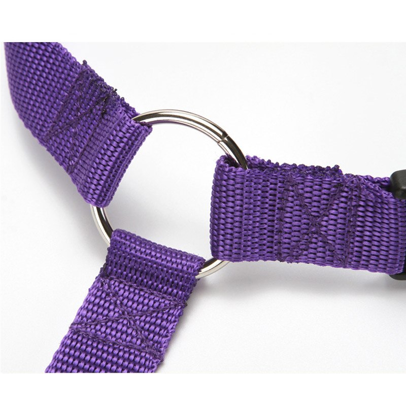 Universele Praktische Veiligheidsgordels Voor Honden Katten Ajustable Sterke Nylon Touw Leash Voor Autostoel Hoofdsteun Huisdier Outdoor Supply